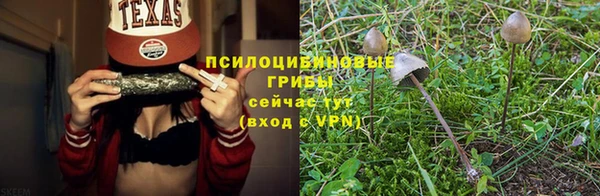 a pvp Алзамай