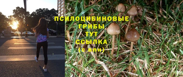mdpv Абдулино