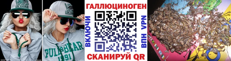 Псилоцибиновые грибы мухоморы как найти закладки Энгельс